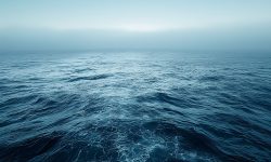 The Physical Effects of Grief image