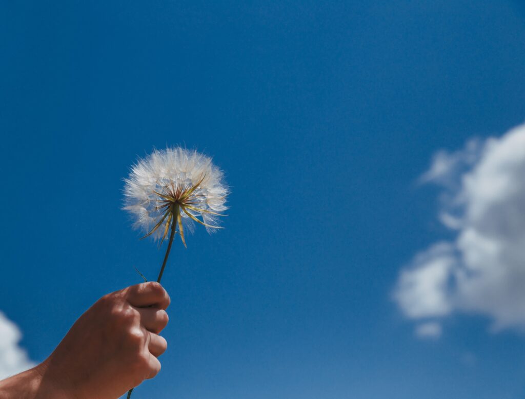 How to Manifest