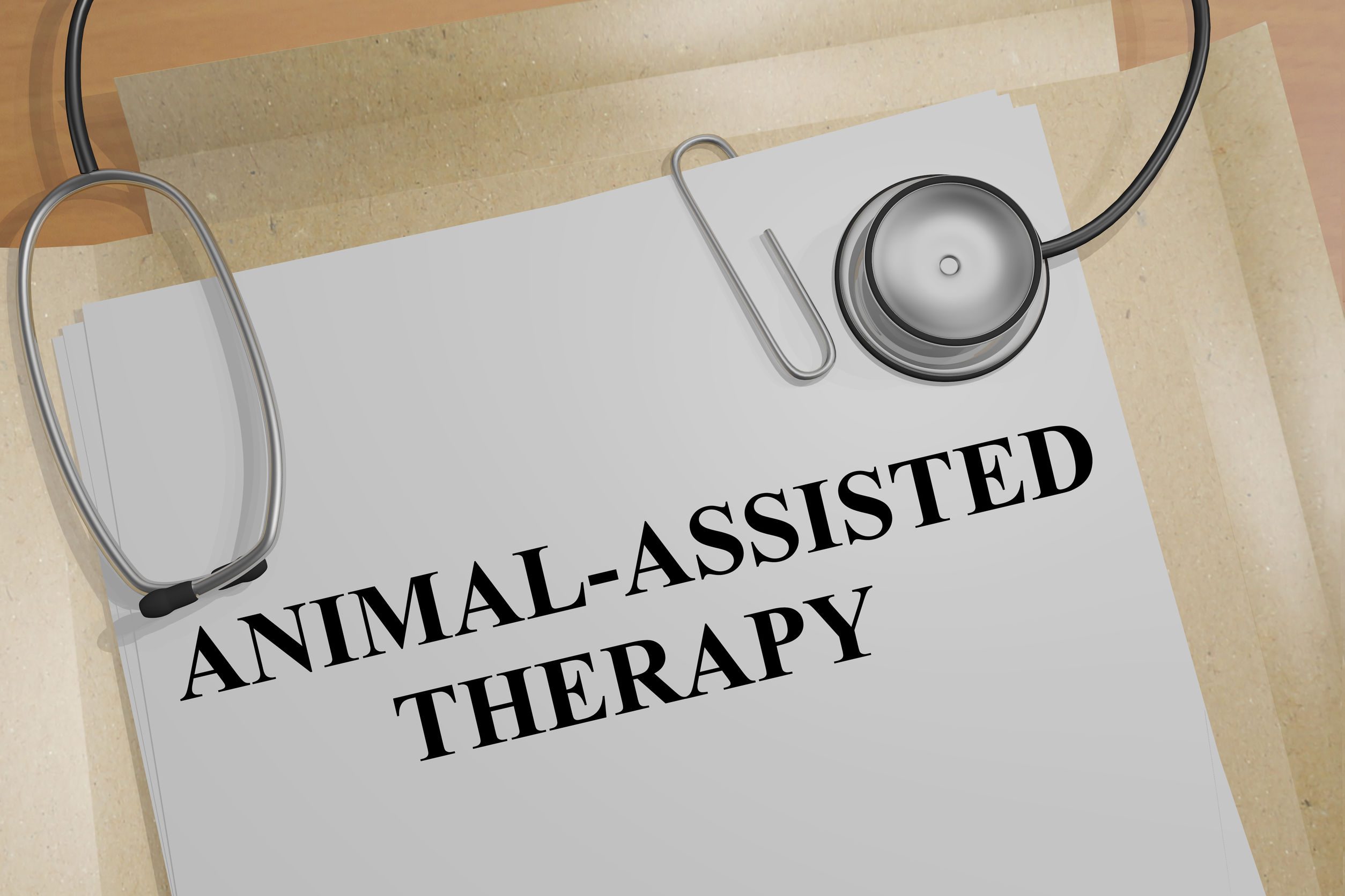 Animal Assisted Therapy (AAT)