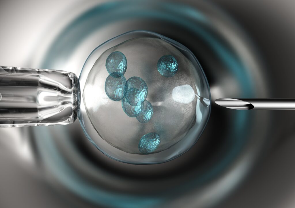 Infertility and Babyloss