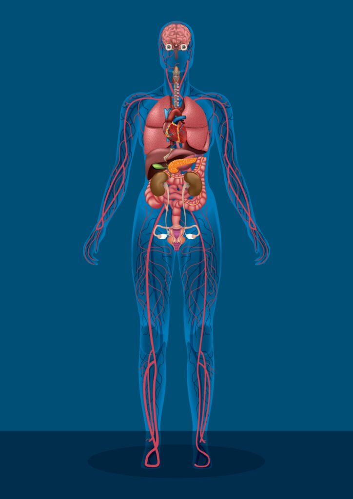 Managing Functional Neurological Disorder (FND) Symptoms