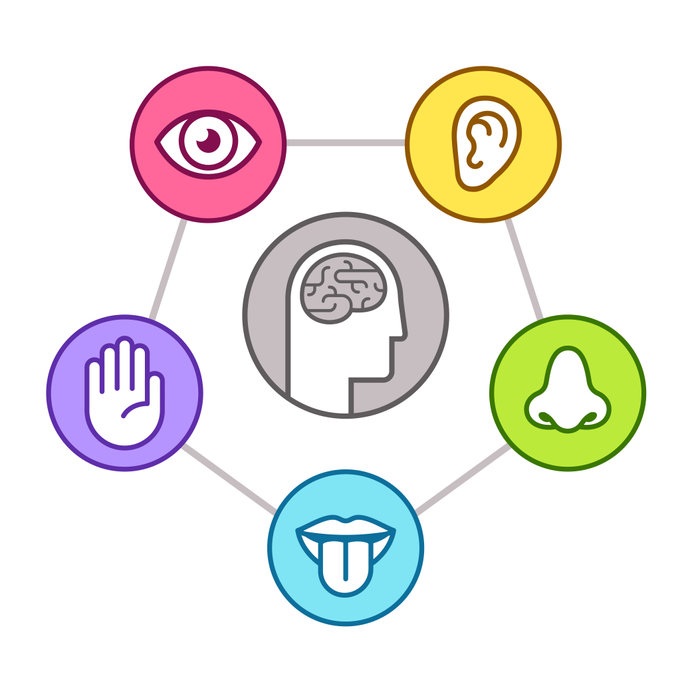 Sensory Processing Concerns Post COVID-19