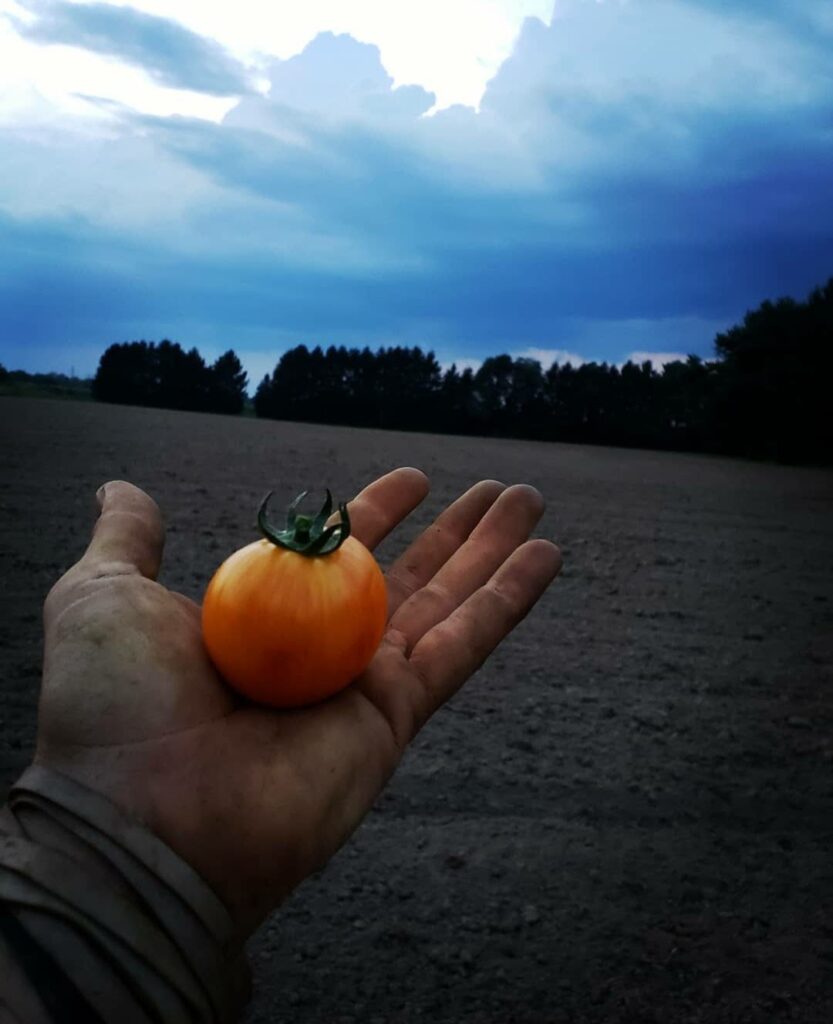 Healing Power of Soil